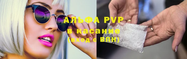 спиды Лиски