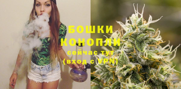 спиды Лиски