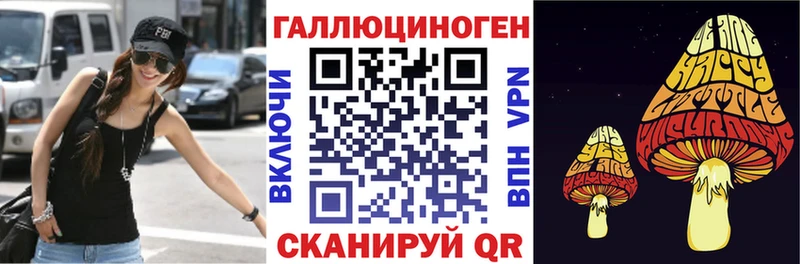 Псилоцибиновые грибы Psilocybine cubensis  Медынь 